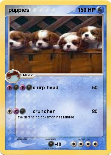 Pokemon puppies