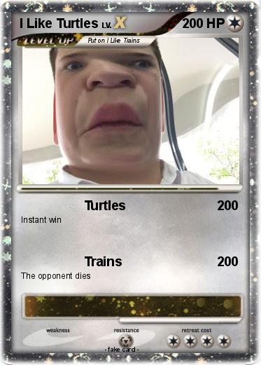Pokemon I Like Turtles