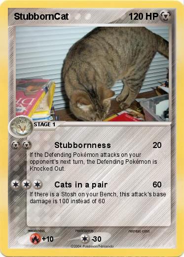 Pokemon StubbornCat