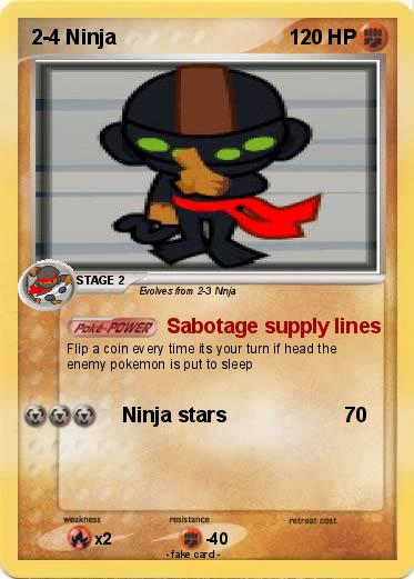 Pokemon 2-4 Ninja
