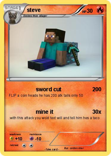 Pokemon steve