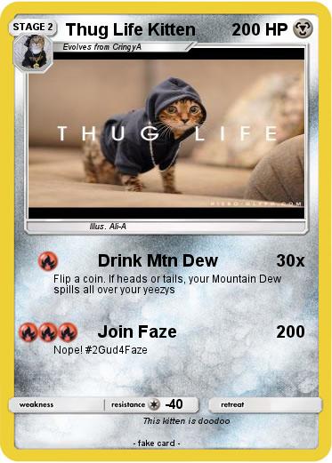 Pokemon Thug Life Kitten