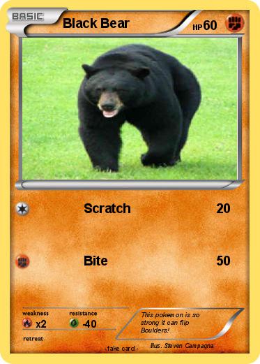 Pokemon Black Bear