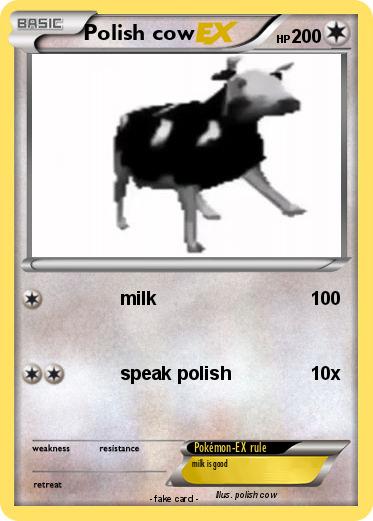 Pokemon Polish cow