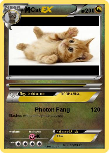 Pokemon Cat