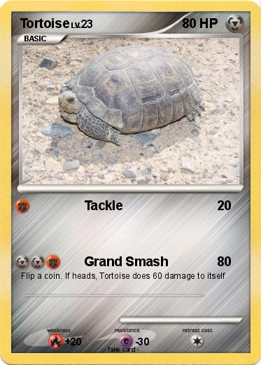 Pokemon Tortoise