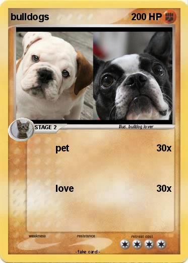 Pokemon bulldogs
