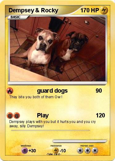 Pokemon Dempsey & Rocky