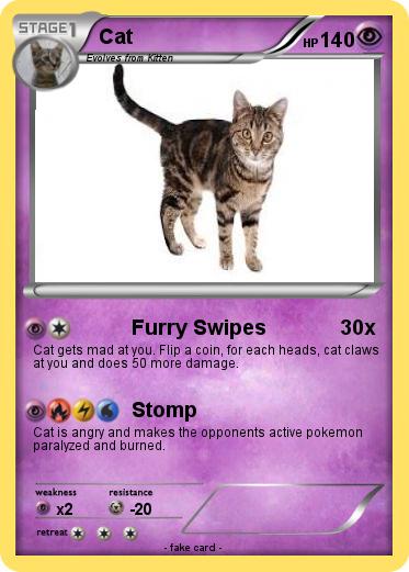 Pokemon Cat