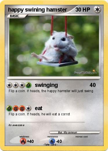 Pokemon happy swining hamster