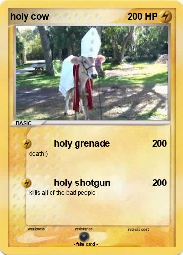 Pokemon holy cow