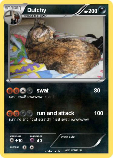 Pokemon Dutchy