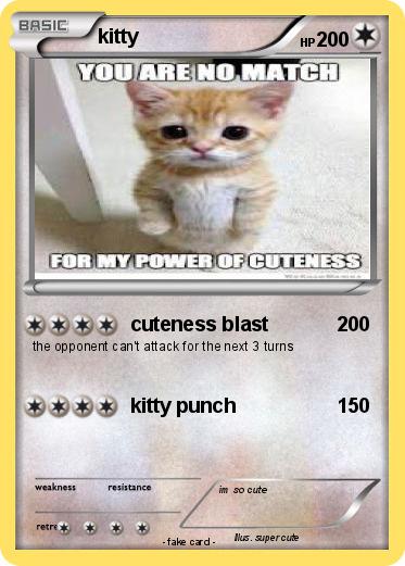 Pokemon kitty