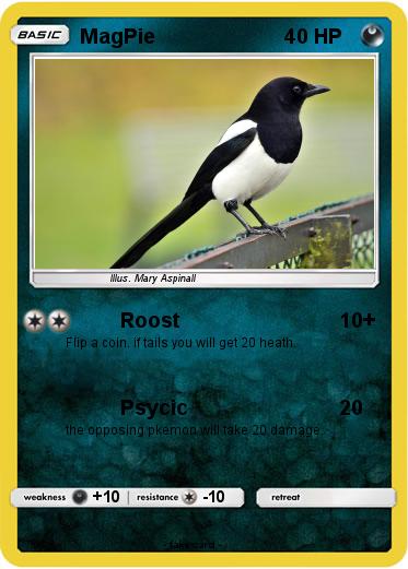 Pokemon MagPie