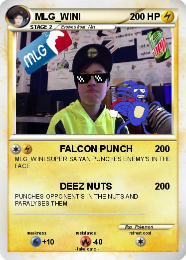Pokemon MLG_WINI
