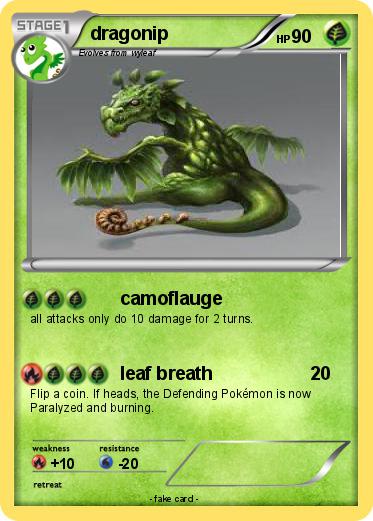 Pokemon dragonip