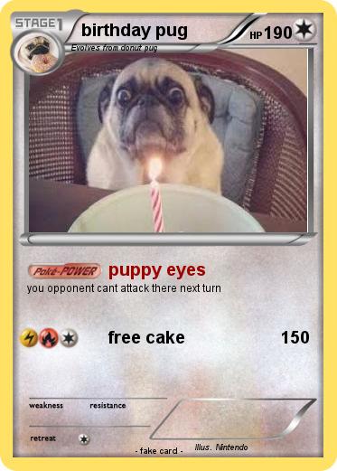 Pokemon birthday pug