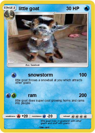 Pokemon little goat