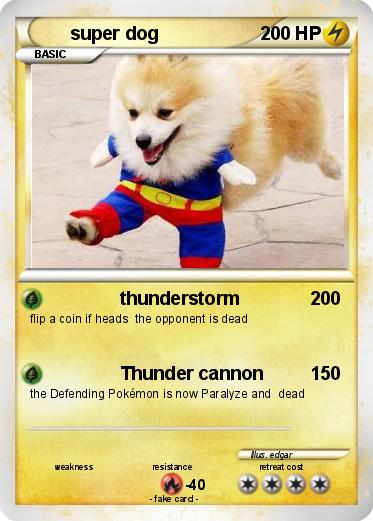 Pokemon super dog