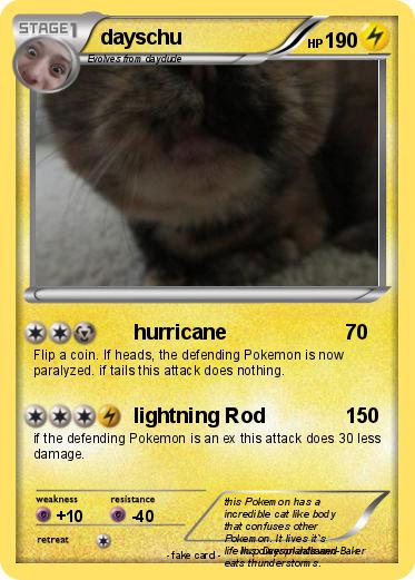 Pokemon dayschu
