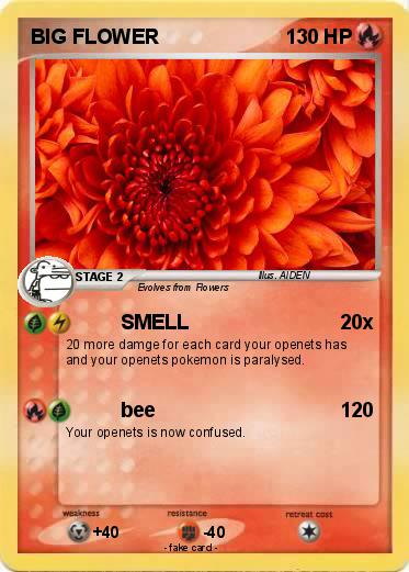 Pokemon BIG FLOWER