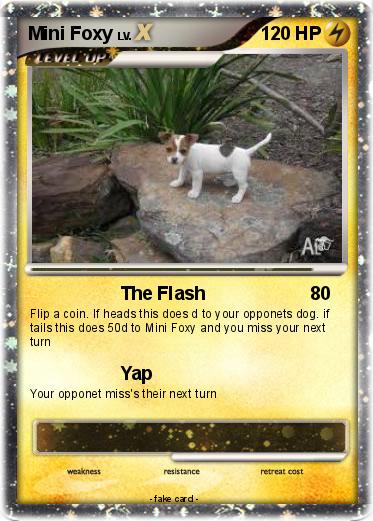 Pokemon Mini Foxy