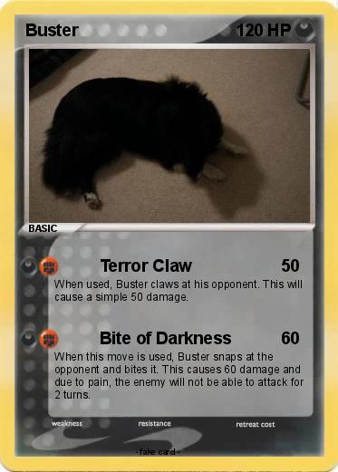Pokemon Buster