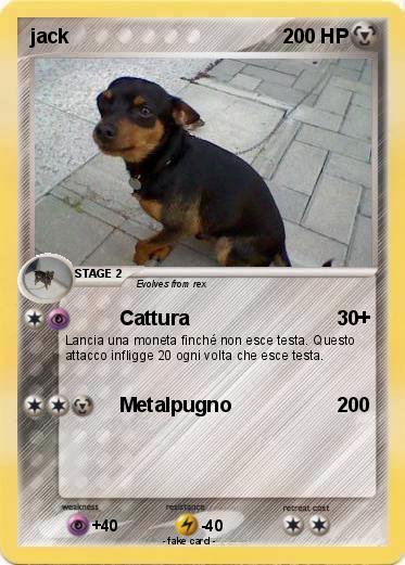 Pokemon jack