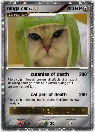 Pokemon ninga cat