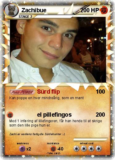 Pokemon Zachibue