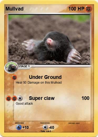 Pokemon Mullvad