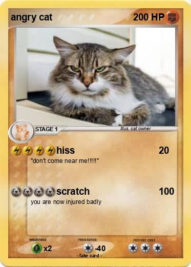Pokemon angry cat
