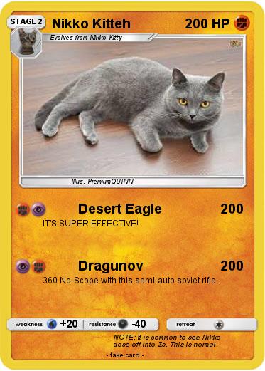 Pokemon Nikko Kitteh