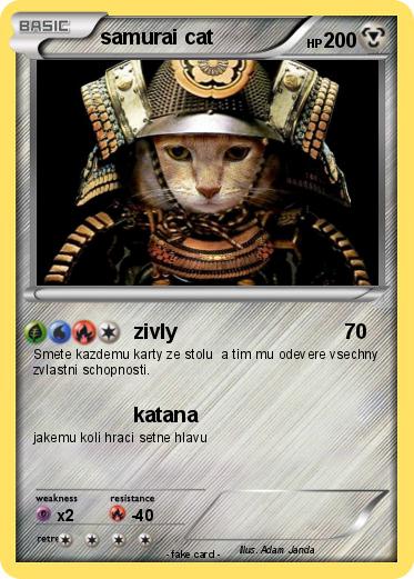 Pokemon samurai cat