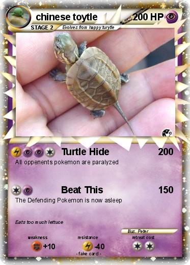 Pokemon chinese toytle