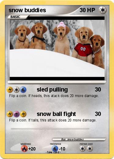 Pokemon snow buddies