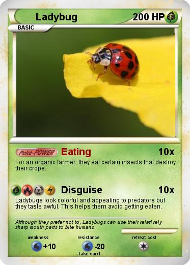 Pokemon Ladybug