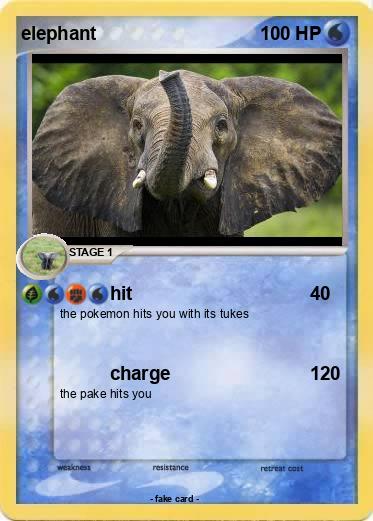 Pokemon elephant