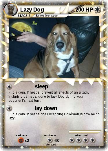 Pokemon Lazy Dog