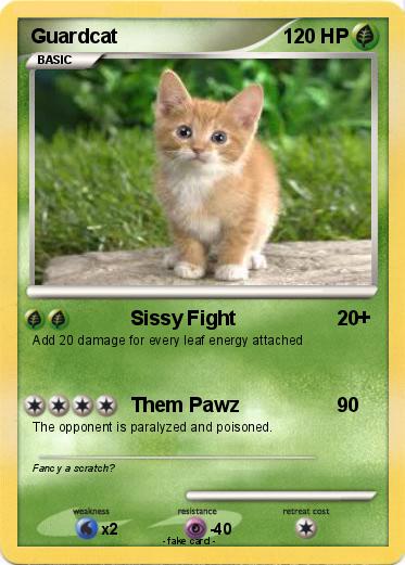Pokemon Guardcat