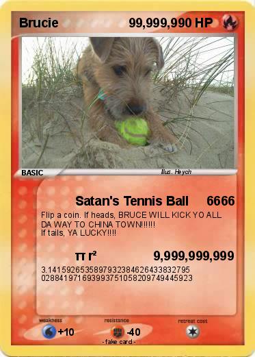 Pokemon Brucie                    99,999,9