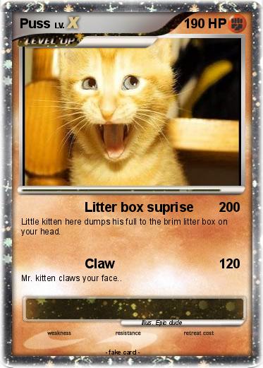 Pokemon Puss
