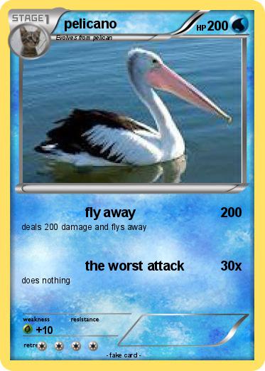 Pokemon pelicano