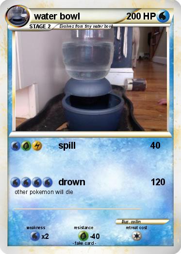 Pokemon water bowl