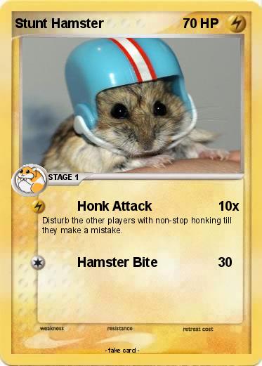 Pokemon Stunt Hamster