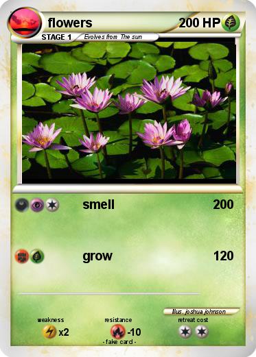 Pokemon flowers