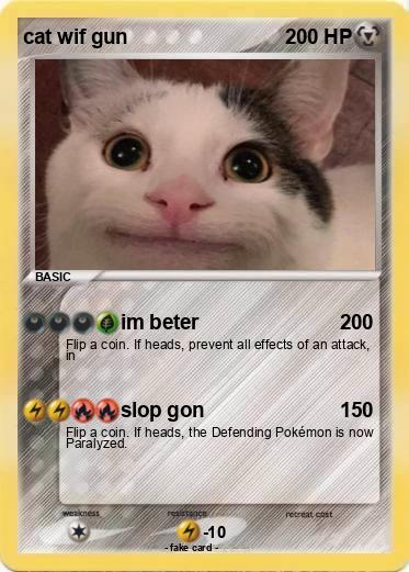 Pokemon cat wif gun