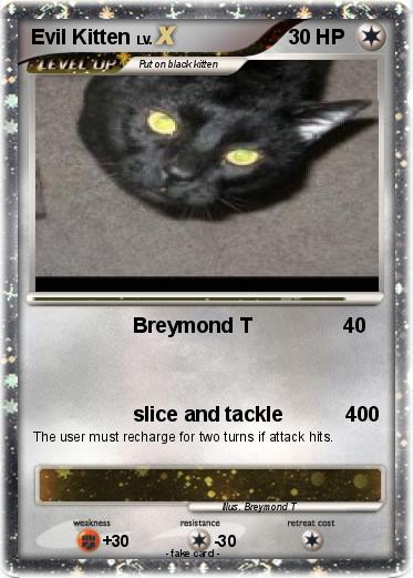 Pokemon Evil Kitten