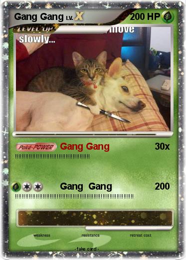 Pokemon Gang Gang