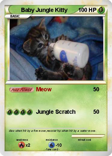 Pokemon Baby Jungle Kitty